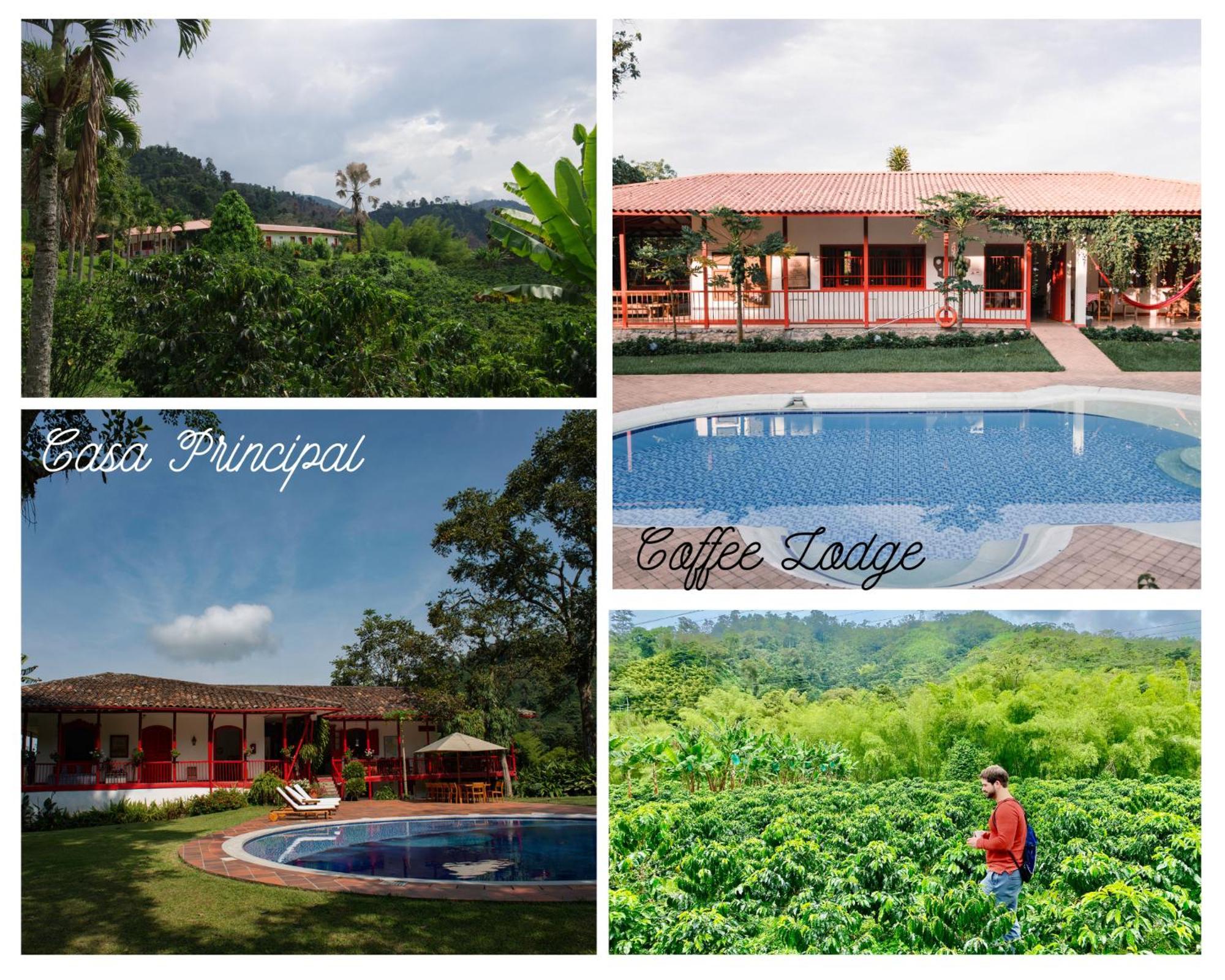 Hacienda Venecia Coffee Farm Hotel Manizales Exterior photo